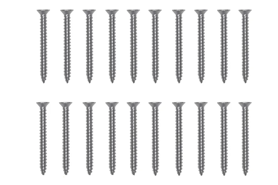Nesling | Schroeven 20x | RVS
