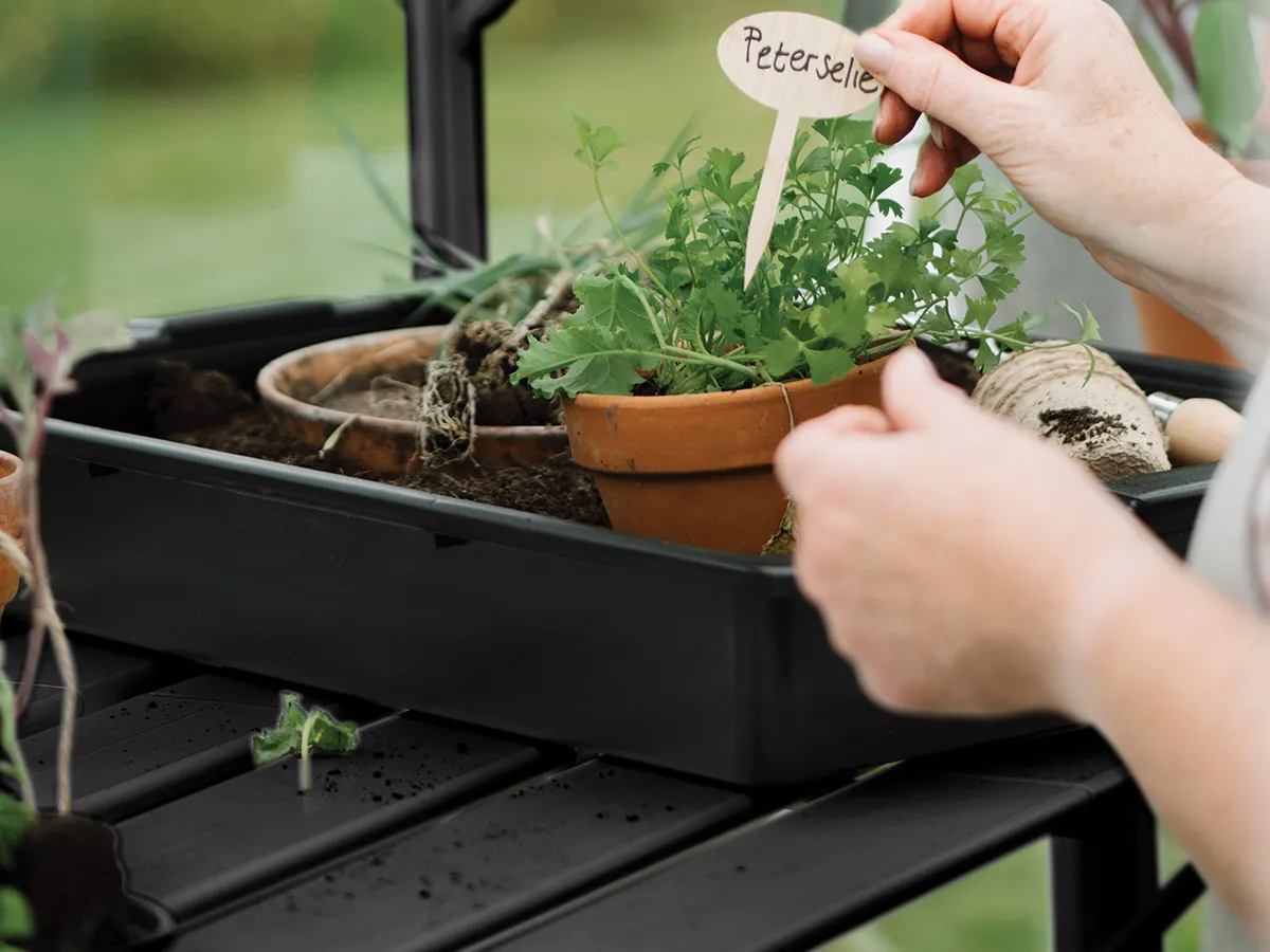 Royal Well | Tafel Mary IV Tuinkas | Zwart