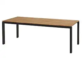 4 Seasons Outdoor | Tuintafel 220 x 95 cm Goa | Teak-Aluminium