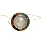 Passion | 5" Main Light Housing