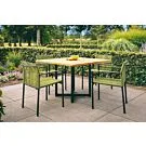Apple Bee | Tuinset Jakarta | Olive