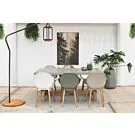 Fonteyn | Tuinset Flora-Monda 01