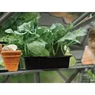 Royal Well | Schap Mary I Tuinkas | Groengrijs