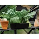 Royal Well | Schap Mary II Tuinkas | Zwart