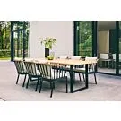 Apple Bee | Tuinset Condor | Zwart