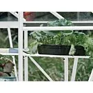 Royal Well | Schap Kate IV Tuinkas | Wit