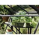 Royal Well | Schap Kate IV Tuinkas | Zwart