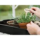 Royal Well | Kweekbak/Container 15 liter