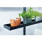 Royal Well | Kweekschap 213 x 14 cm