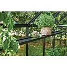 Royal Well | Kweekschap Oase 135 | Geïntegreerd | Zwart