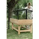 Royal Well | Parsley Planter Broeikas Large | Veiligheidsglas 4 mm | Zwart