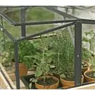 Royal Well | Parsley Planter Broeikas Small | Veiligheidsglas 4 mm