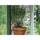 Royal Well | Pothouder Set van 4 | Groengrijs