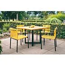 Apple Bee | Tuinset Jakarta | Lemon