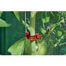 Royal Well | Tomato Clips | 20 stuks