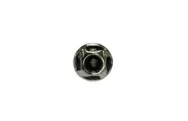 Waterway | 2 1/4 Cluster Jet, Adjustable Directional, Thread-In, Reverse Swirl, Chrome-DSG"