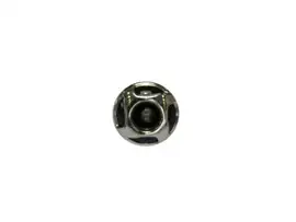 Waterway | 2 1/4 Cluster Jet, Adjustable Directional, Thread-In, Reverse Swirl, Chrome-DSG"
