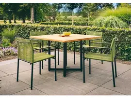 Apple Bee | Tuinset Jakarta | Olive