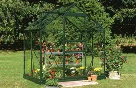Royal Well | Tuinkas Popular 46 | Veiligheidsglas 3 mm | Groen