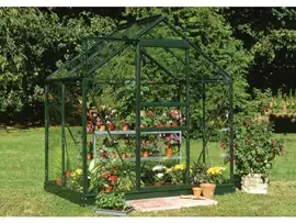 Royal Well | Tuinkas Popular 46 | Veiligheidsglas 3 mm | Groen