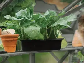 Royal Well | Schap Mary IV Tuinkas | Groengrijs