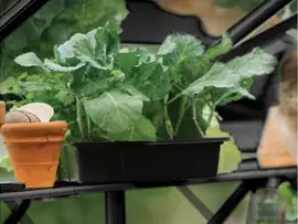 Royal Well | Schap Mary II Tuinkas | Zwart