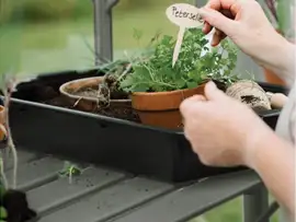 Royal Well | Tafel Anne II Tuinkas | Groengrijs