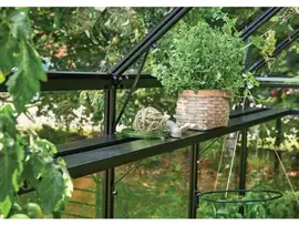 Royal Well | Kweekschap Grand Oase 188 | Geïntegreerd | Zwart