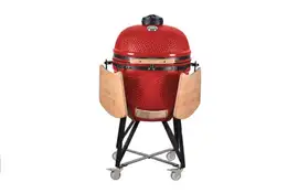 Fonteyn Fonteyn Kamado BBQ | Big 25" | Red aanbieding