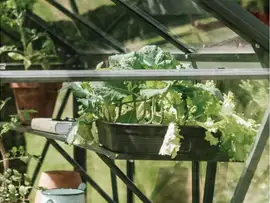 Royal Well | Schap Kate V Tuinkas | Groengrijs