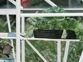 Royal Well | Schap Kate IV Tuinkas | Wit