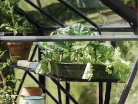 Royal Well | Schap Kate II Tuinkas | Zwart