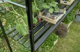 Royal Well | Kweektafel Compact 66