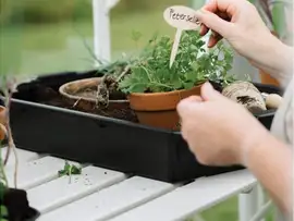 Royal Well | Tafel Mary II Tuinkas | Wit