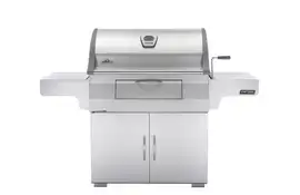 Napoleon | BBQ Charcoal PRO605 | RVS