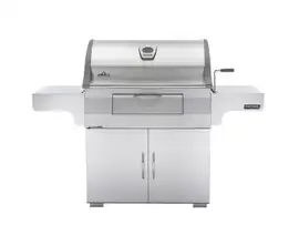 Napoleon | BBQ Charcoal PRO605 | RVS