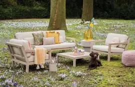 Apple Bee | Loungeset Olive | Coastal Teak