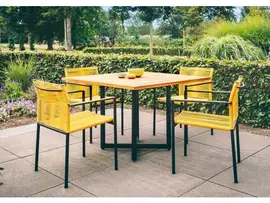 Apple Bee | Tuinset Jakarta | Lemon