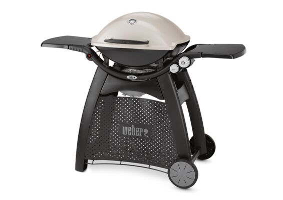 Weber | Q 3000 Station | Titan