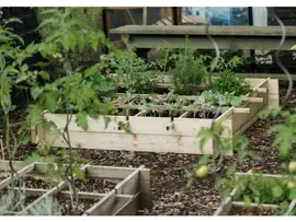 Royal Well | Wild Celery - Geïmpregneerd Grenen