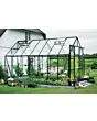 Royal Well | Tuinkas Magnum 148 | Veiligheidsglas 3 mm | Groen