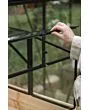 Royal Well | Parsley Planter Broeikas Large | Veiligheidsglas 4 mm | Zwart