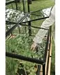 Royal Well | Parsley Planter Broeikas Large | Veiligheidsglas 4 mm | Zwart