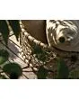 4 Seasons Outdoor | Loungeset Sardinia