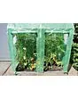 Royal Well | Maxi Tomata Galva Foliekas