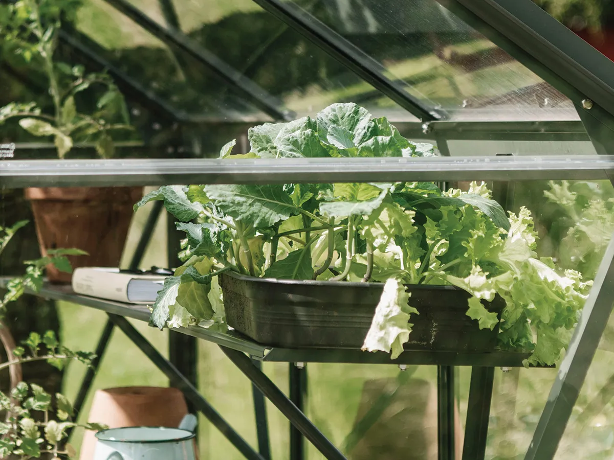 Royal Well | Schap Kate V Tuinkas | Groengrijs