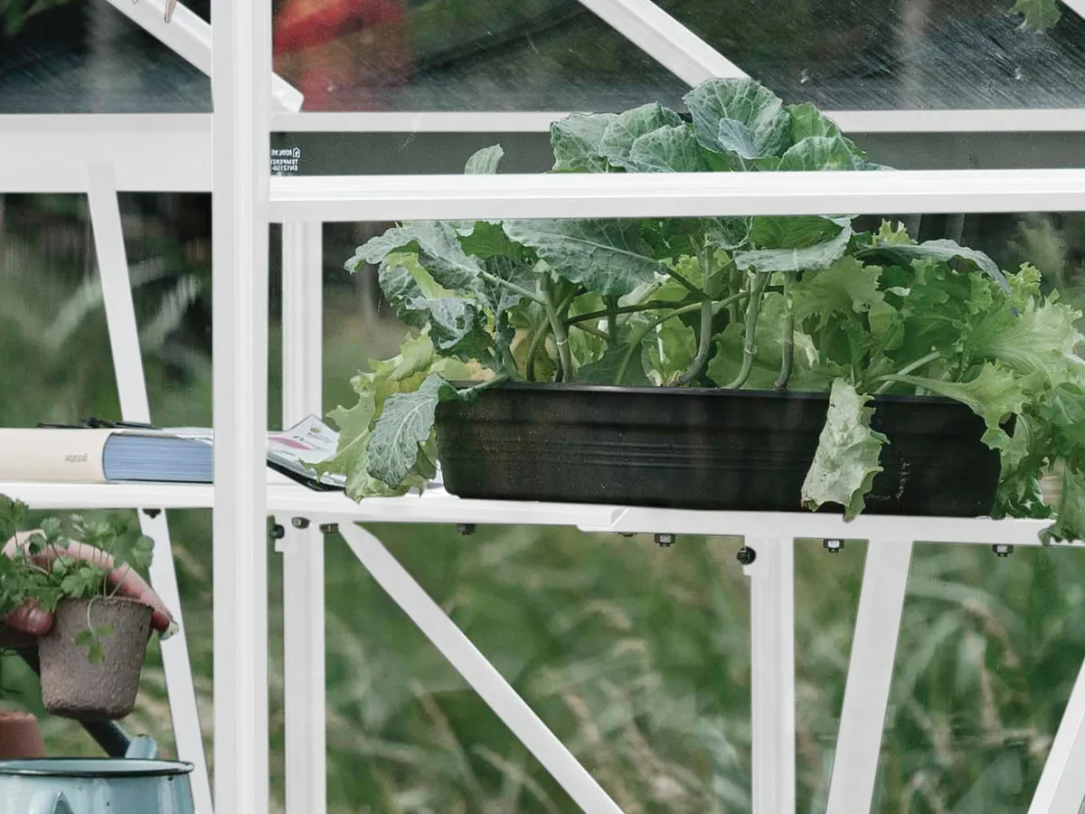 Royal Well | Schap Kate I Tuinkas | Wit