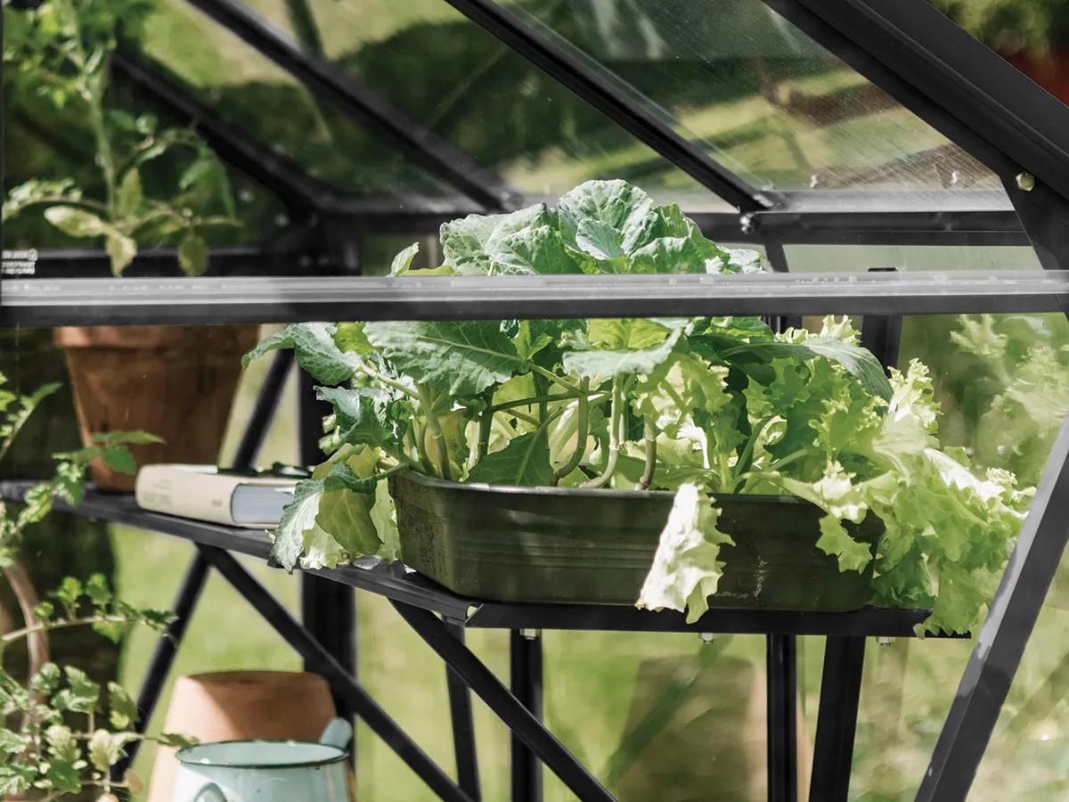 Royal Well | Schap Kate V Tuinkas | Zwart