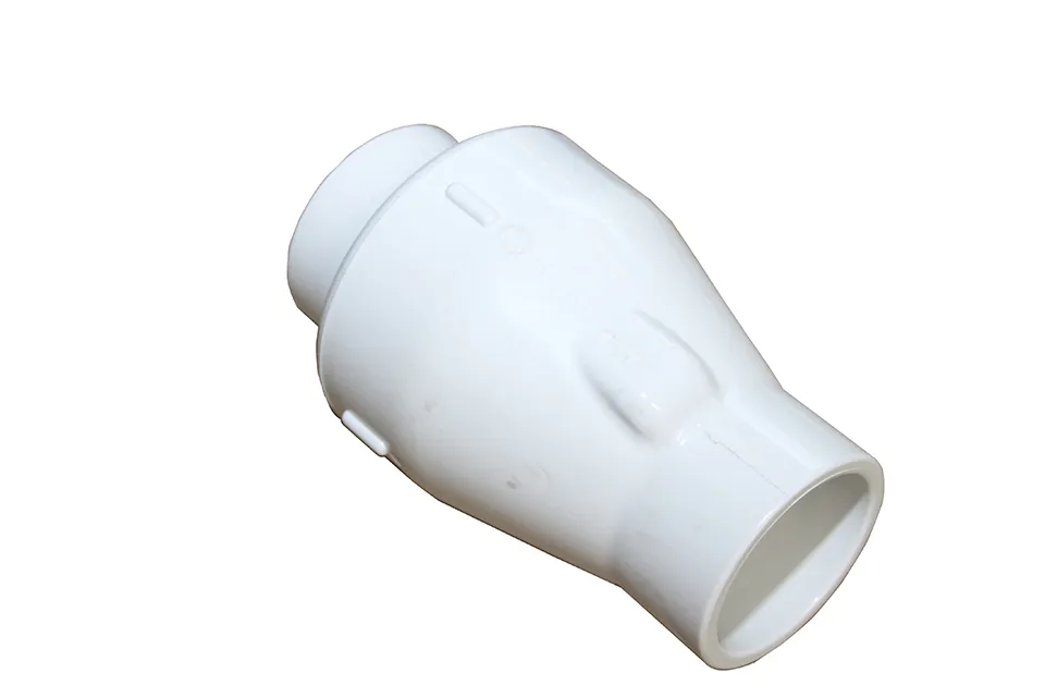 Waterway | Water Check Valve - 2 S x 2" S"