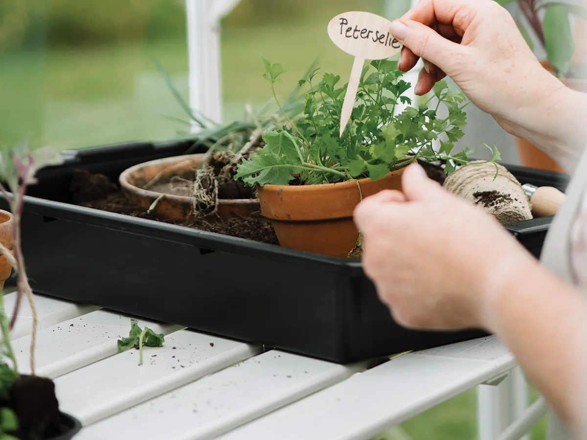 Royal Well | Tafel Mary IV Tuinkas | Wit